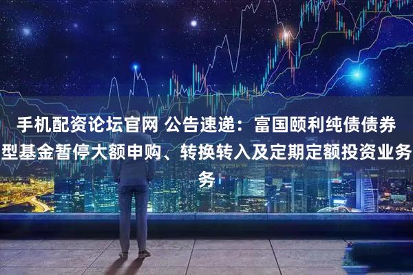 手机配资论坛官网 公告速递：富国颐利纯债债券型基金暂停大额申购、转换转入及定期定额投资业务