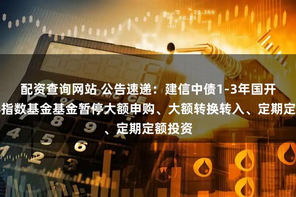 配资查询网站 公告速递：建信中债1-3年国开行债券指数基金基金暂停大额申购、大额转换转入、定期定额投资