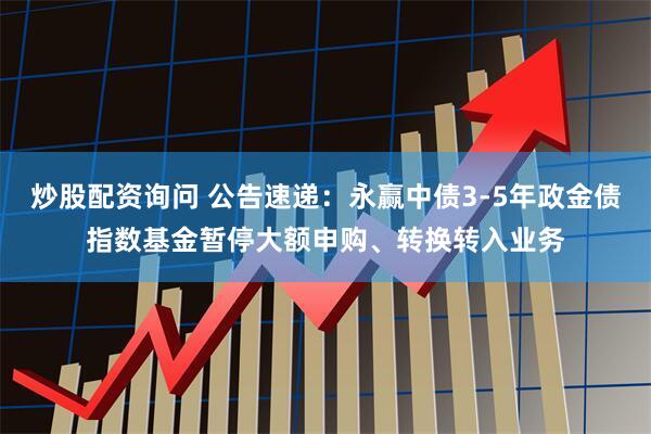 炒股配资询问 公告速递：永赢中债3-5年政金债指数基金暂停大额申购、转换转入业务