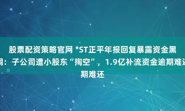 股票配资策略官网 *ST正平年报回复暴露资金黑洞：子公司遭小股东“掏空”，1.9亿补流资金逾期难还